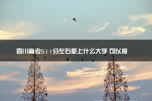 四川高考511分左右能上什么大学 可以报哪些公办院校(2023报考推荐)