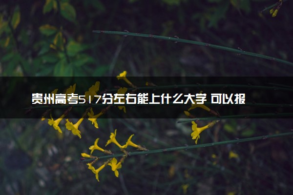 贵州高考517分左右能上什么大学 可以报哪些公办院校(2023报考推荐)