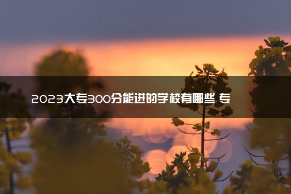 2023大专300分能进的学校有哪些 专科学院名单