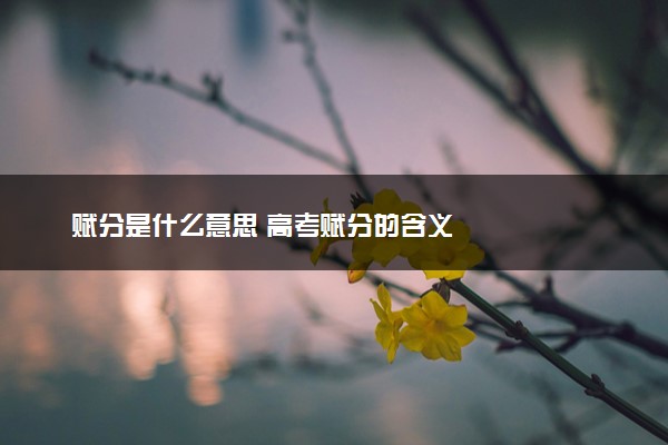 赋分是什么意思 高考赋分的含义