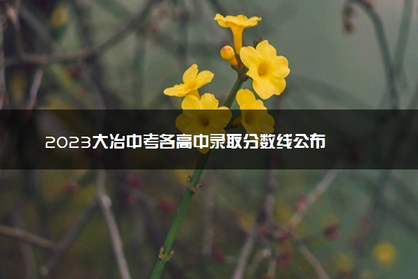 2023大冶中考各高中录取分数线公布