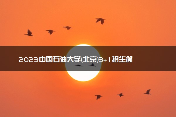 2023中国石油大学(北京)3+1招生简章