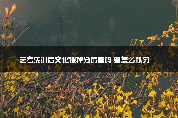 艺考集训后文化课掉分厉害吗 要怎么补习