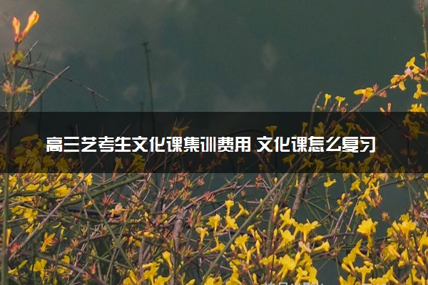 高三艺考生文化课集训费用 文化课怎么复习