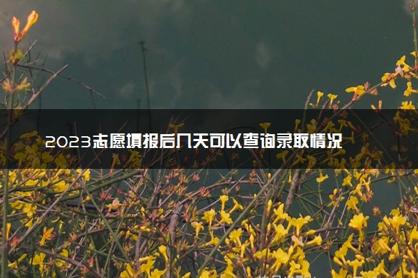 2023志愿填报后几天可以查询录取情况 查询方式