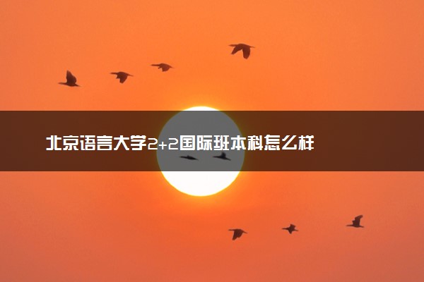 北京语言大学2+2国际班本科怎么样