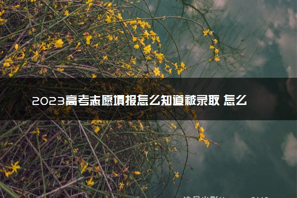 2023高考志愿填报怎么知道被录取 怎么查询录取信息