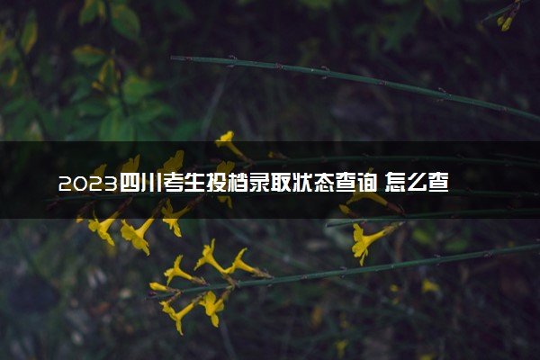 2023四川考生投档录取状态查询 怎么查