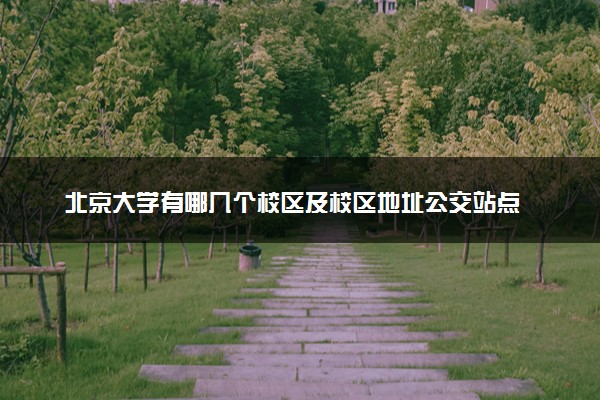 北京大学有哪几个校区及校区地址公交站点 分别都在哪里