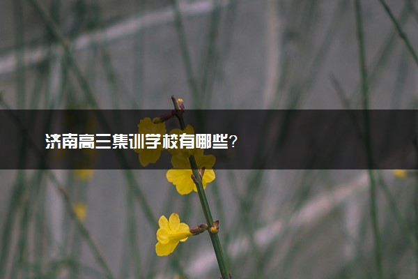 济南高三集训学校有哪些？