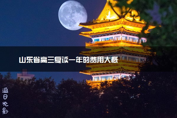 山东省高三复读一年的费用大概