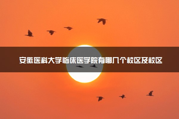 安徽医科大学临床医学院有哪几个校区及校区地址公交站点 分别都在哪里