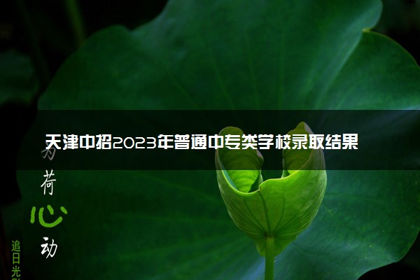 天津中招2023年普通中专类学校录取结果公布 征询志愿填报时间