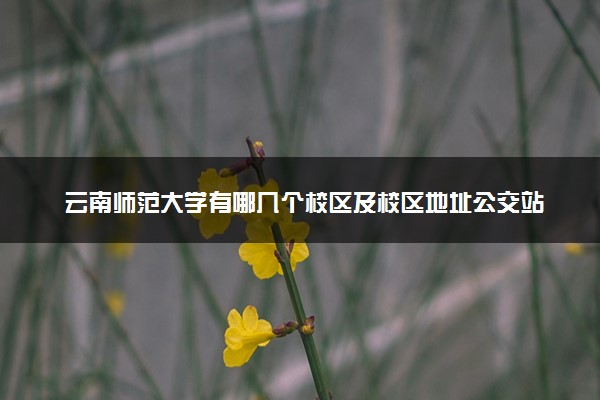 云南师范大学有哪几个校区及校区地址公交站点 分别都在哪里