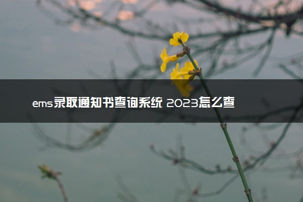 ems录取通知书查询系统 2023怎么查到哪了