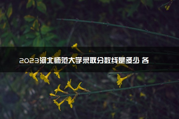 2023河北师范大学录取分数线是多少 各省历年最低分数线