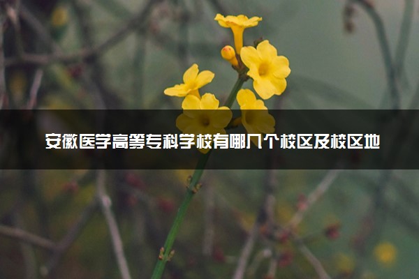 安徽医学高等专科学校有哪几个校区及校区地址公交站点 分别都在哪里