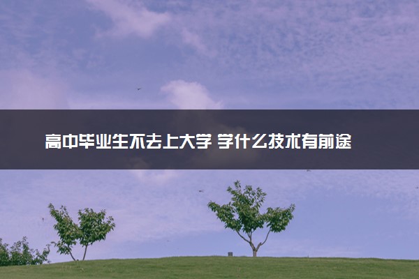 高中毕业生不去上大学 学什么技术有前途