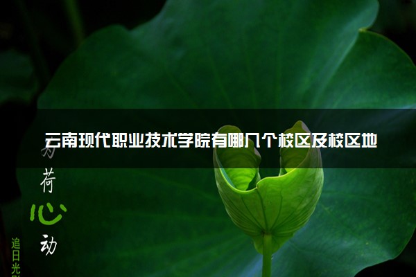 云南现代职业技术学院有哪几个校区及校区地址公交站点 分别都在哪里