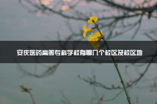 安庆医药高等专科学校有哪几个校区及校区地址公交站点 分别都在哪里