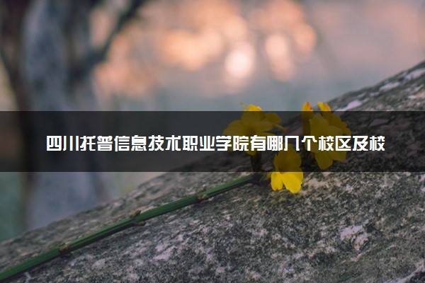 四川托普信息技术职业学院有哪几个校区及校区地址公交站点 分别都在哪里