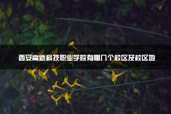 西安高新科技职业学院有哪几个校区及校区地址公交站点 分别都在哪里