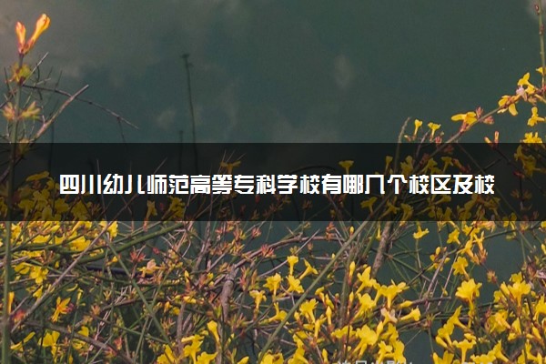 四川幼儿师范高等专科学校有哪几个校区及校区地址公交站点 分别都在哪里