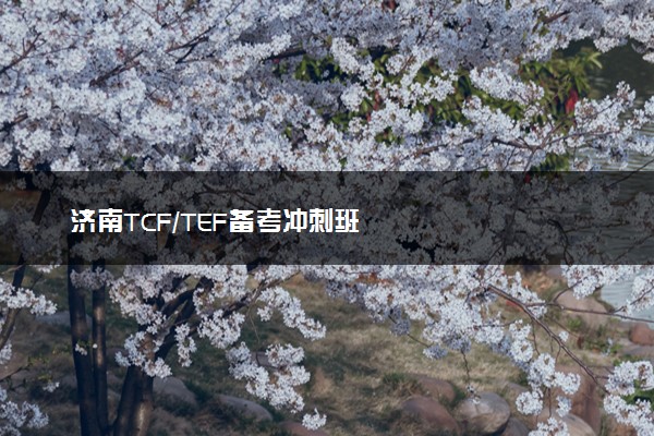 济南TCF/TEF备考冲刺班