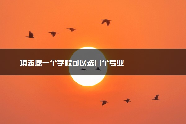 填志愿一个学校可以选几个专业