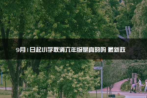 9月1日起小学取消六年级是真的吗 最新政策