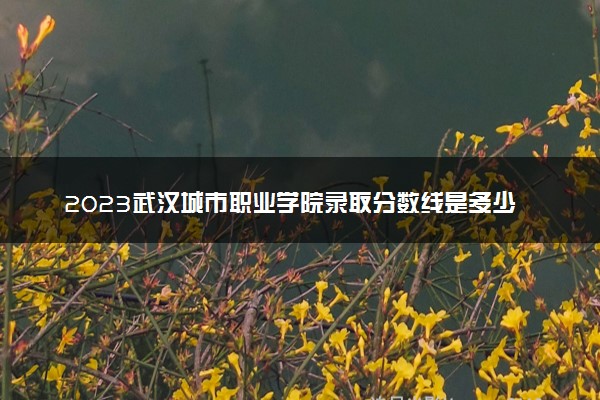 2023武汉城市职业学院录取分数线是多少 各省历年最低分数线