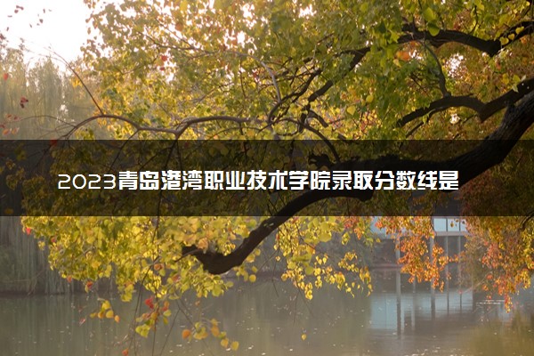 2023青岛港湾职业技术学院录取分数线是多少 各省历年最低分数线