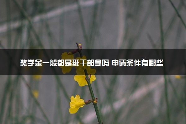 奖学金一般都是班干部拿吗 申请条件有哪些