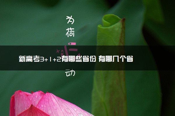 新高考3+1+2有哪些省份 有哪几个省