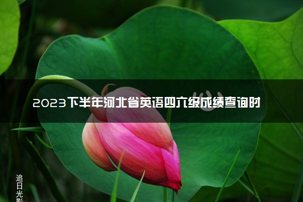 2023下半年河北省英语四六级成绩查询时间 几号查分