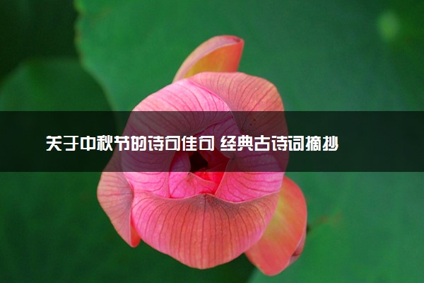 关于中秋节的诗句佳句 经典古诗词摘抄