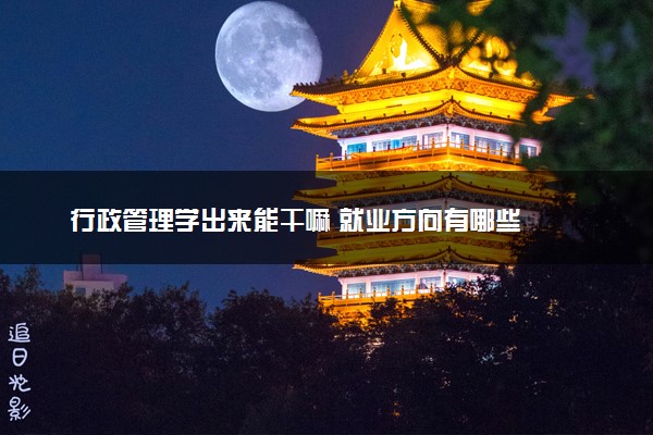 行政管理学出来能干嘛 就业方向有哪些