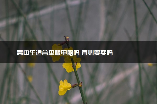 高中生适合平板电脑吗 有必要买吗