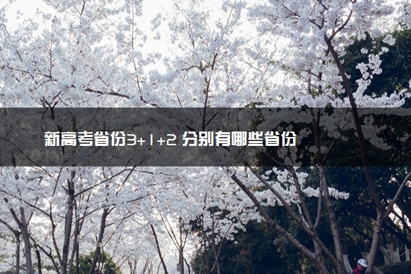 新高考省份3+1+2 分别有哪些省份