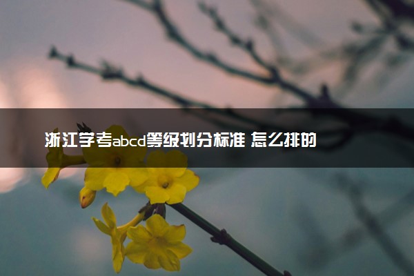 浙江学考abcd等级划分标准 怎么排的