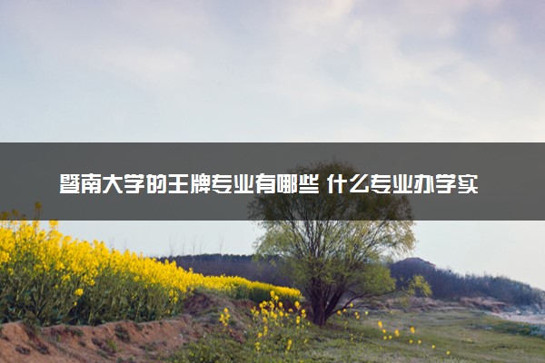 暨南大学的王牌专业有哪些 什么专业办学实力强