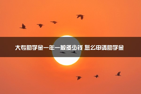 大专助学金一年一般多少钱 怎么申请助学金