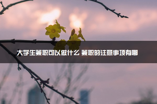 大学生兼职可以做什么 兼职的注意事项有哪些