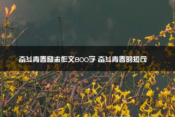 奋斗青春励志作文800字 奋斗青春的短句摘抄