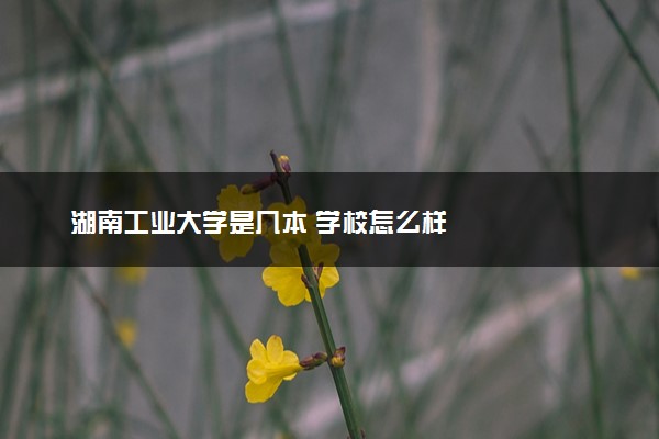 湖南工业大学是几本 学校怎么样