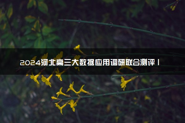 2024河北高三大数据应用调研联合测评Ⅰ各科试题及答案汇总