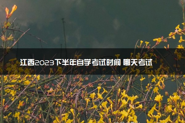 江西2023下半年自学考试时间 哪天考试