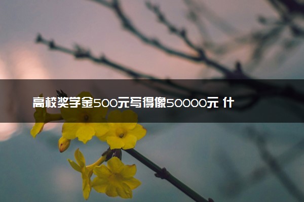 高校奖学金500元写得像50000元 什么情况