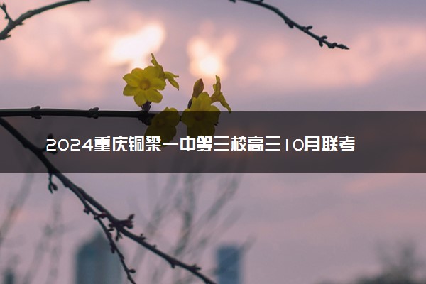 2024重庆铜梁一中等三校高三10月联考各科试题及答案汇总