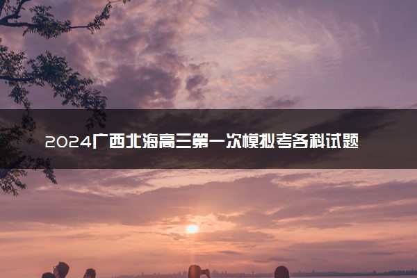 2024广西北海高三第一次模拟考各科试题及答案汇总